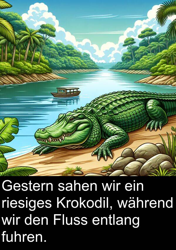 riesiges: Gestern sahen wir ein riesiges Krokodil, während wir den Fluss entlang fuhren.