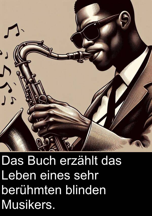 berühmten: Das Buch erzählt das Leben eines sehr berühmten blinden Musikers.