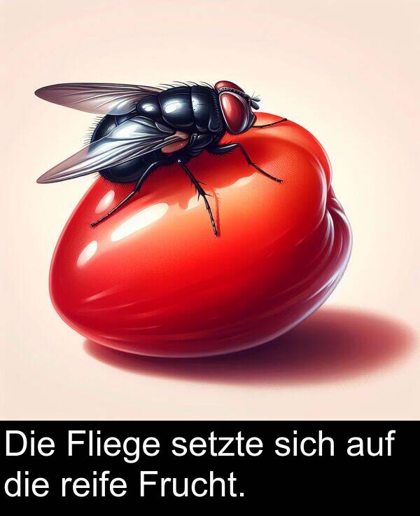 Frucht: Die Fliege setzte sich auf die reife Frucht.