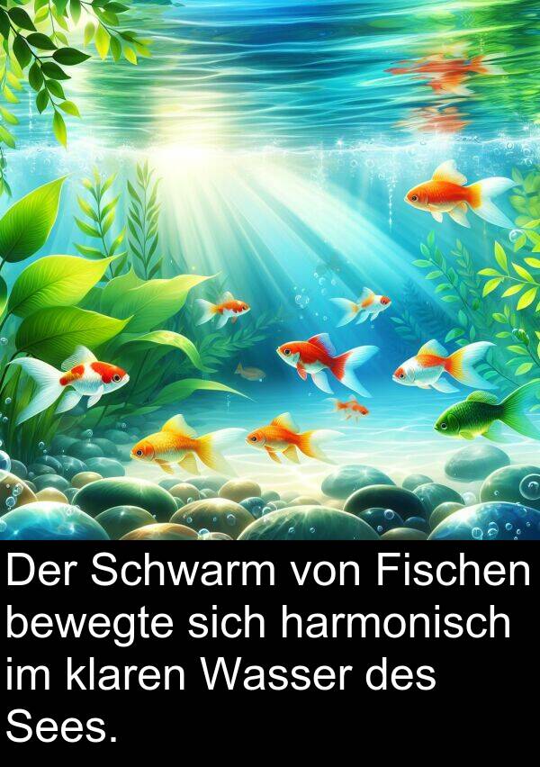 Fischen: Der Schwarm von Fischen bewegte sich harmonisch im klaren Wasser des Sees.