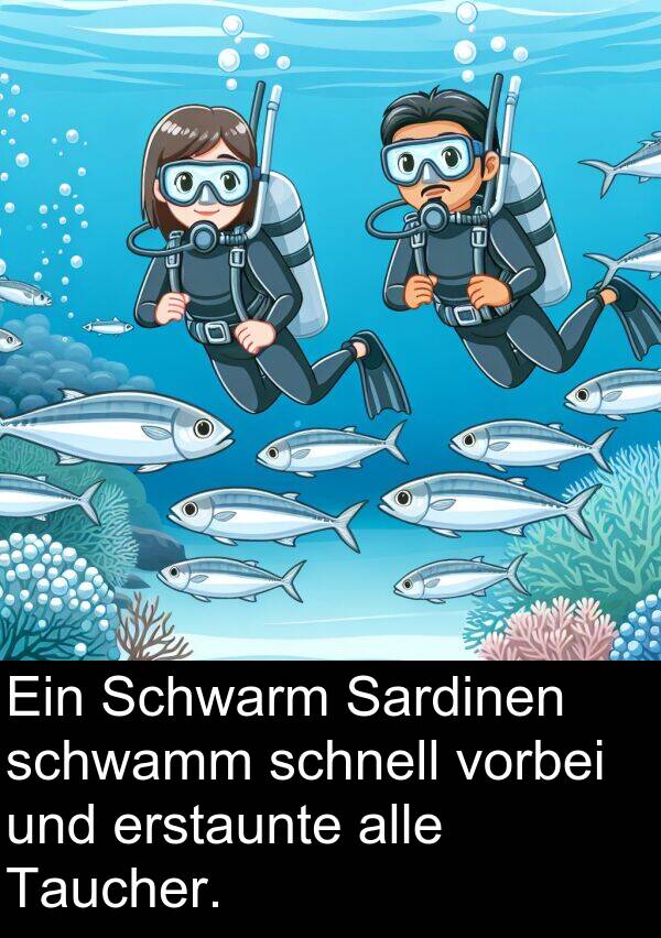 Taucher: Ein Schwarm Sardinen schwamm schnell vorbei und erstaunte alle Taucher.