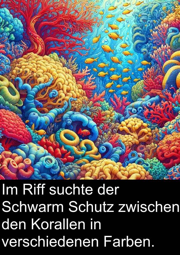 Farben: Im Riff suchte der Schwarm Schutz zwischen den Korallen in verschiedenen Farben.