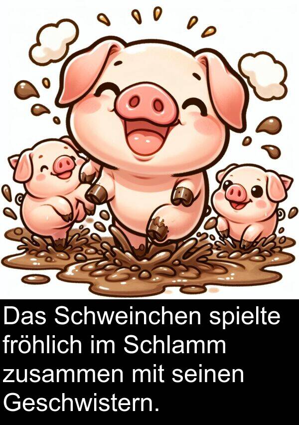 fröhlich: Das Schweinchen spielte fröhlich im Schlamm zusammen mit seinen Geschwistern.