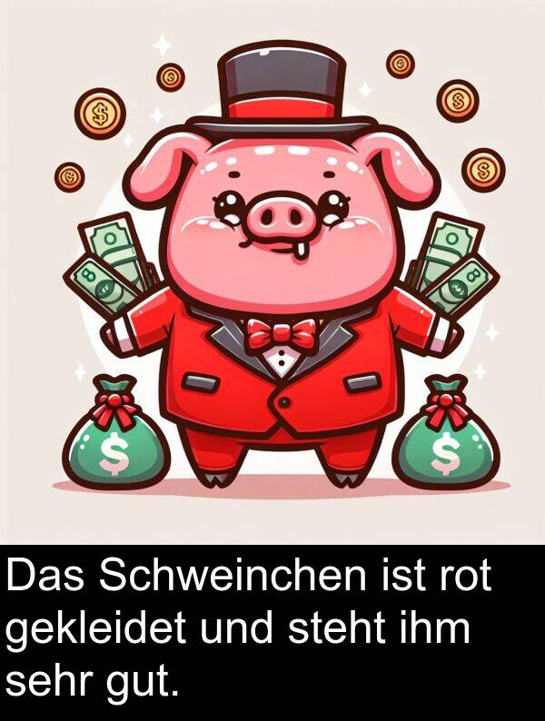 steht: Das Schweinchen ist rot gekleidet und steht ihm sehr gut.