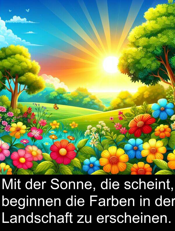 Farben: Mit der Sonne, die scheint, beginnen die Farben in der Landschaft zu erscheinen.