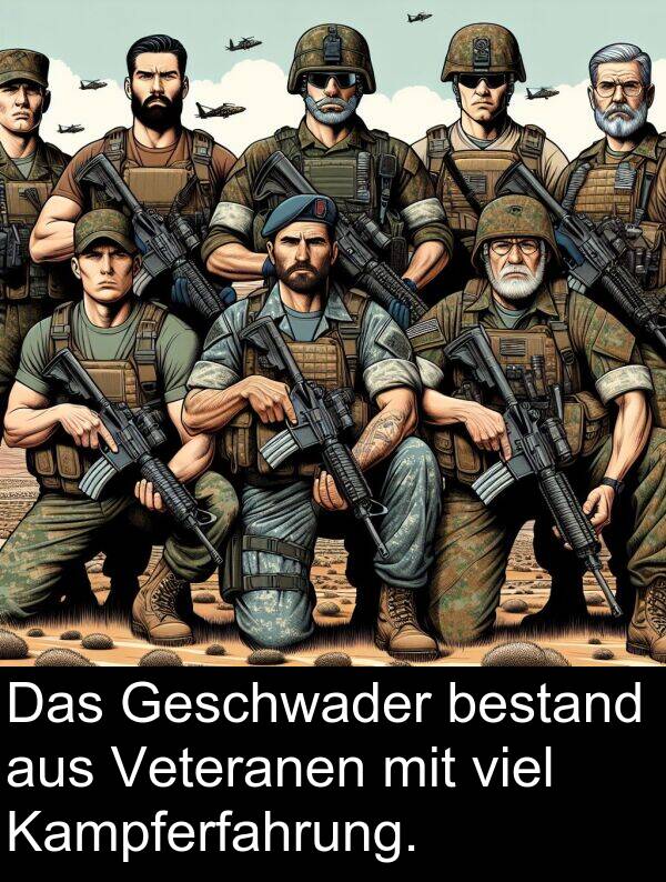 Kampferfahrung: Das Geschwader bestand aus Veteranen mit viel Kampferfahrung.