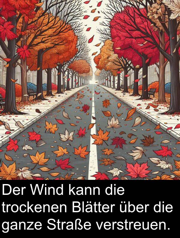 Wind: Der Wind kann die trockenen Blätter über die ganze Straße verstreuen.