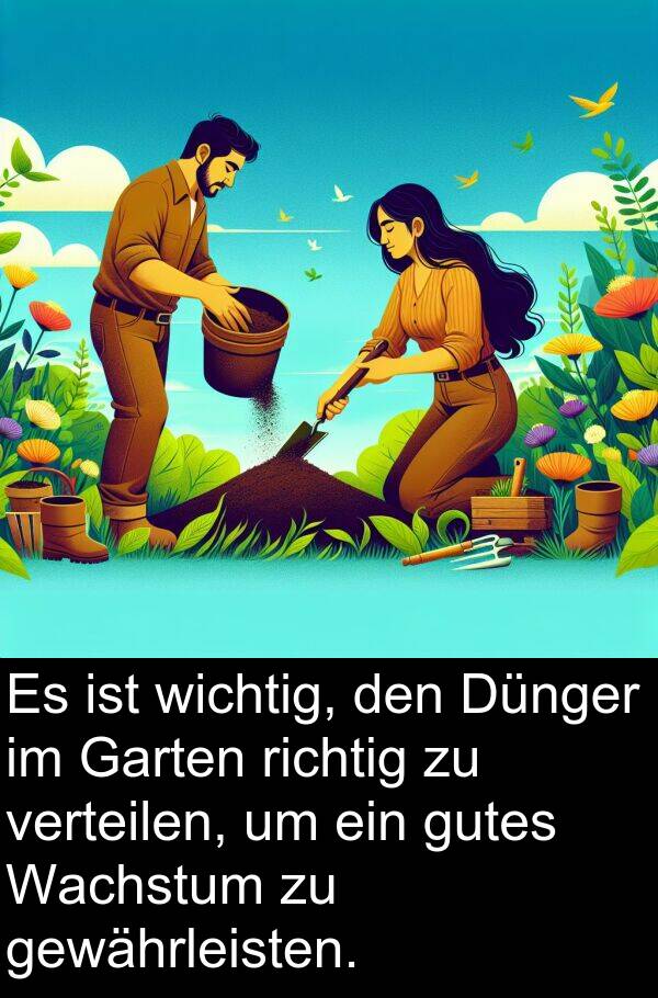 Wachstum: Es ist wichtig, den Dünger im Garten richtig zu verteilen, um ein gutes Wachstum zu gewährleisten.