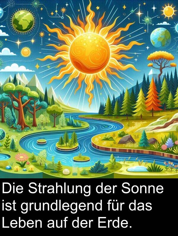 Sonne: Die Strahlung der Sonne ist grundlegend für das Leben auf der Erde.