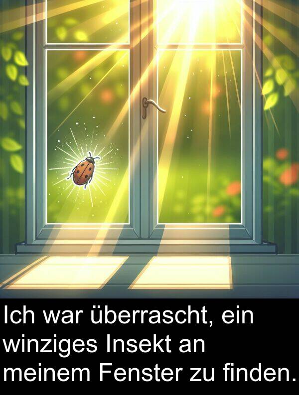 finden: Ich war überrascht, ein winziges Insekt an meinem Fenster zu finden.