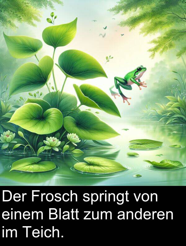 Frosch: Der Frosch springt von einem Blatt zum anderen im Teich.