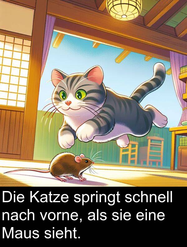 nach: Die Katze springt schnell nach vorne, als sie eine Maus sieht.