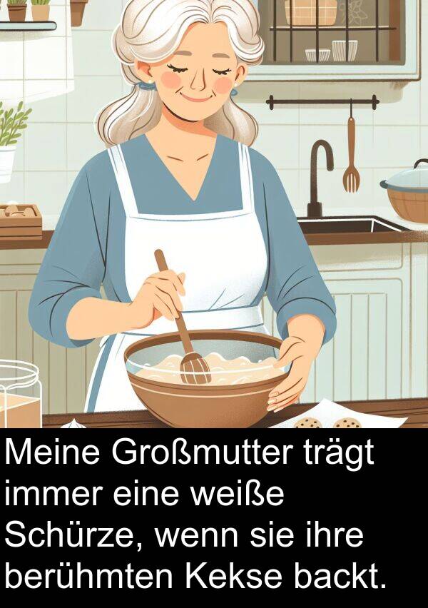 trägt: Meine Großmutter trägt immer eine weiße Schürze, wenn sie ihre berühmten Kekse backt.