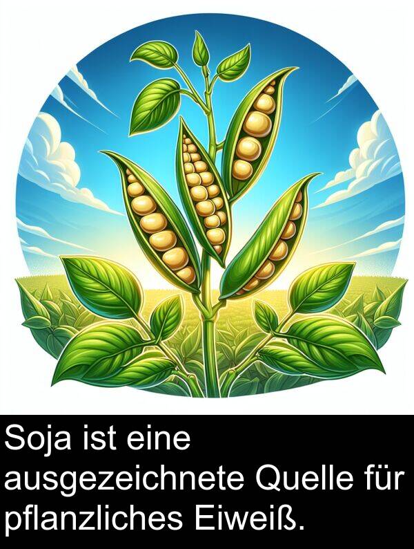 Eiweiß: Soja ist eine ausgezeichnete Quelle für pflanzliches Eiweiß.