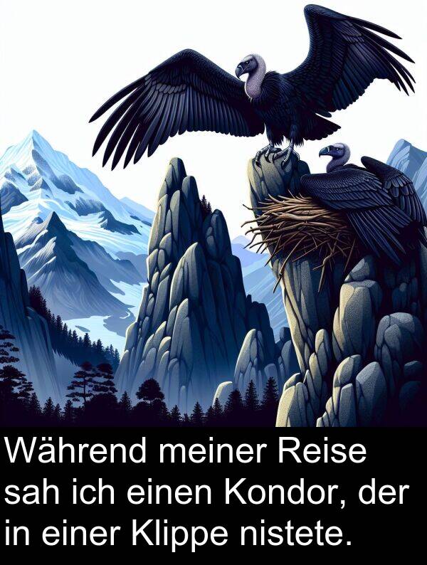 sah: Während meiner Reise sah ich einen Kondor, der in einer Klippe nistete.