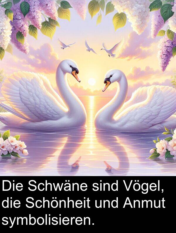symbolisieren: Die Schwäne sind Vögel, die Schönheit und Anmut symbolisieren.