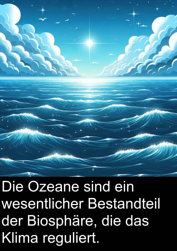Biosphäre: Die Ozeane sind ein wesentlicher Bestandteil der Biosphäre, die das Klima reguliert.