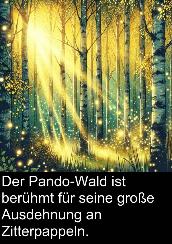große: Der Pando-Wald ist berühmt für seine große Ausdehnung an Zitterpappeln.