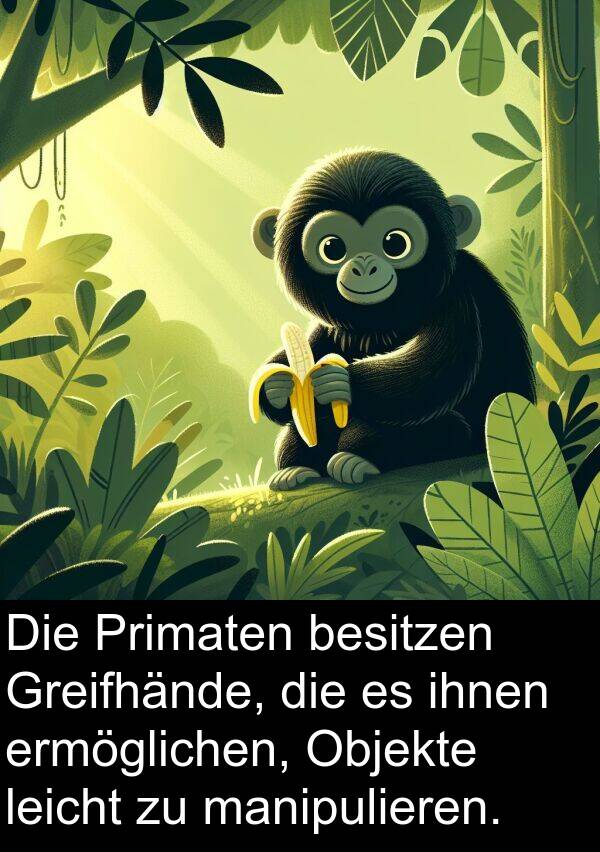 leicht: Die Primaten besitzen Greifhände, die es ihnen ermöglichen, Objekte leicht zu manipulieren.