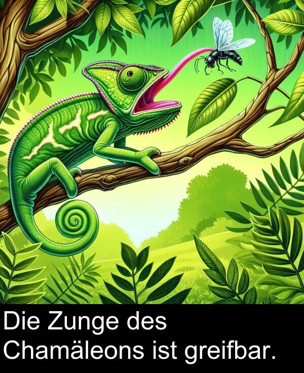 Die: Die Zunge des Chamäleons ist greifbar.