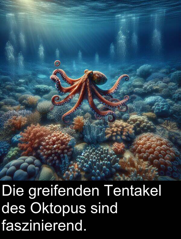 faszinierend: Die greifenden Tentakel des Oktopus sind faszinierend.