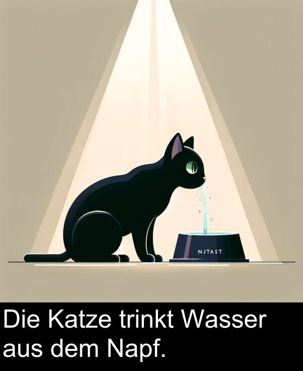 Die: Die Katze trinkt Wasser aus dem Napf.