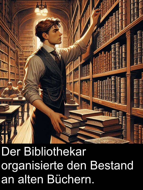 Bestand: Der Bibliothekar organisierte den Bestand an alten Büchern.