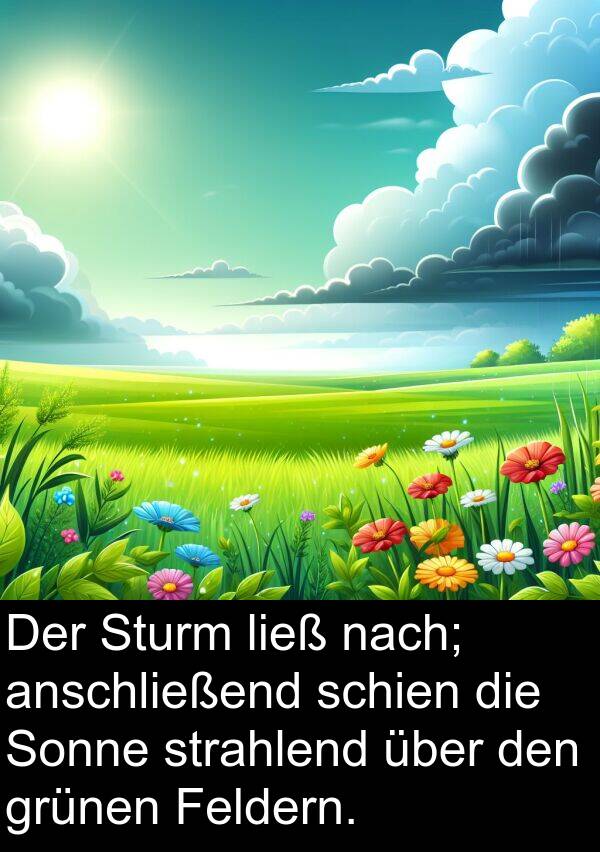 Sonne: Der Sturm ließ nach; anschließend schien die Sonne strahlend über den grünen Feldern.