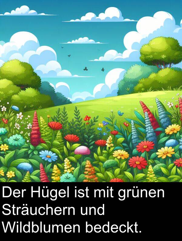 Wildblumen: Der Hügel ist mit grünen Sträuchern und Wildblumen bedeckt.
