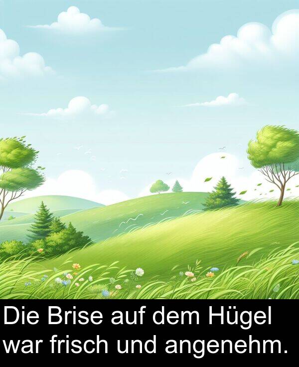 frisch: Die Brise auf dem Hügel war frisch und angenehm.
