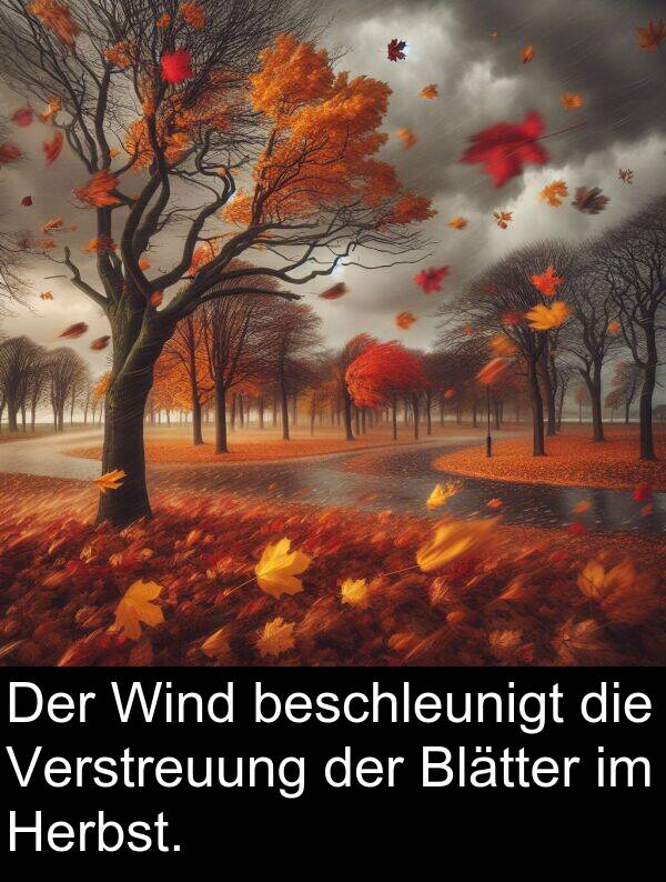 Wind: Der Wind beschleunigt die Verstreuung der Blätter im Herbst.
