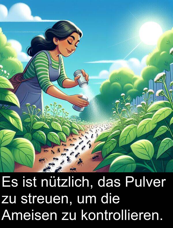 Pulver: Es ist nützlich, das Pulver zu streuen, um die Ameisen zu kontrollieren.