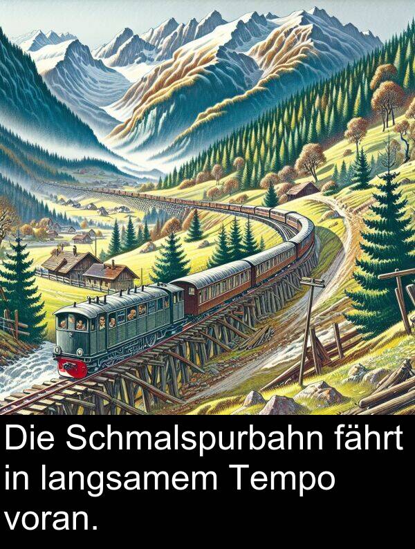 fährt: Die Schmalspurbahn fährt in langsamem Tempo voran.