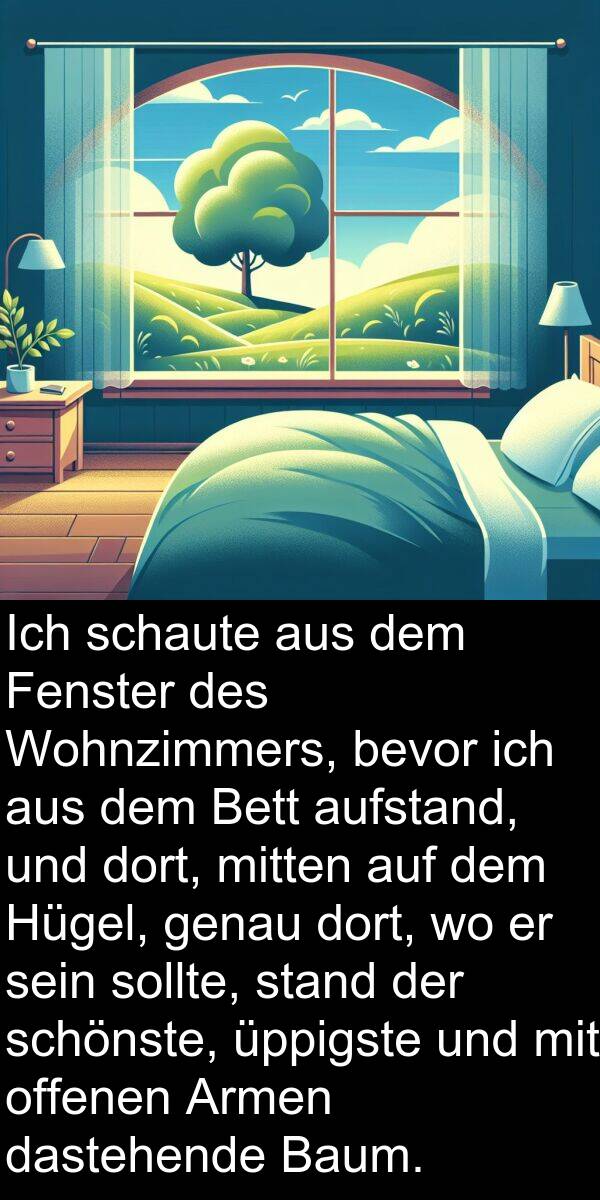 Fenster: Ich schaute aus dem Fenster des Wohnzimmers, bevor ich aus dem Bett aufstand, und dort, mitten auf dem Hügel, genau dort, wo er sein sollte, stand der schönste, üppigste und mit offenen Armen dastehende Baum.