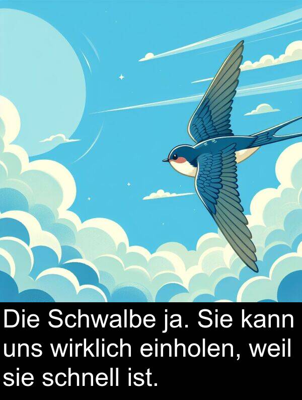 wirklich: Die Schwalbe ja. Sie kann uns wirklich einholen, weil sie schnell ist.