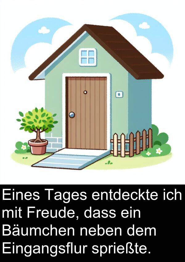 sprießte: Eines Tages entdeckte ich mit Freude, dass ein Bäumchen neben dem Eingangsflur sprießte.
