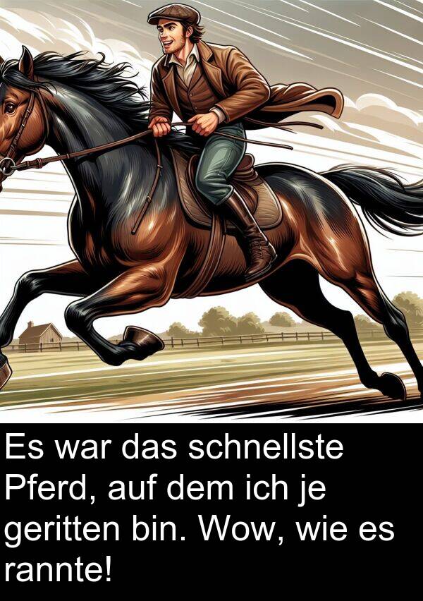Wow: Es war das schnellste Pferd, auf dem ich je geritten bin. Wow, wie es rannte!