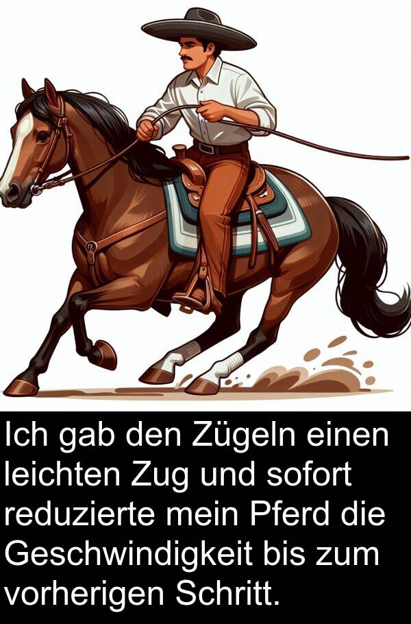 reduzierte: Ich gab den Zügeln einen leichten Zug und sofort reduzierte mein Pferd die Geschwindigkeit bis zum vorherigen Schritt.