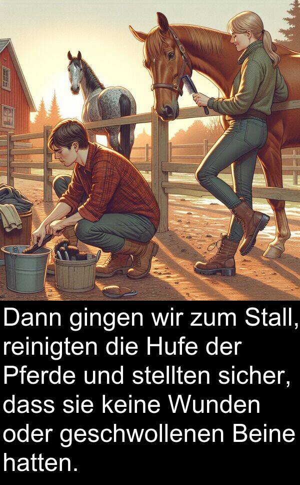 Dann: Dann gingen wir zum Stall, reinigten die Hufe der Pferde und stellten sicher, dass sie keine Wunden oder geschwollenen Beine hatten.
