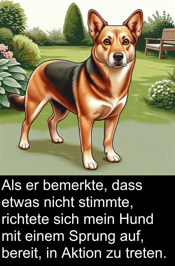 richtete: Als er bemerkte, dass etwas nicht stimmte, richtete sich mein Hund mit einem Sprung auf, bereit, in Aktion zu treten.