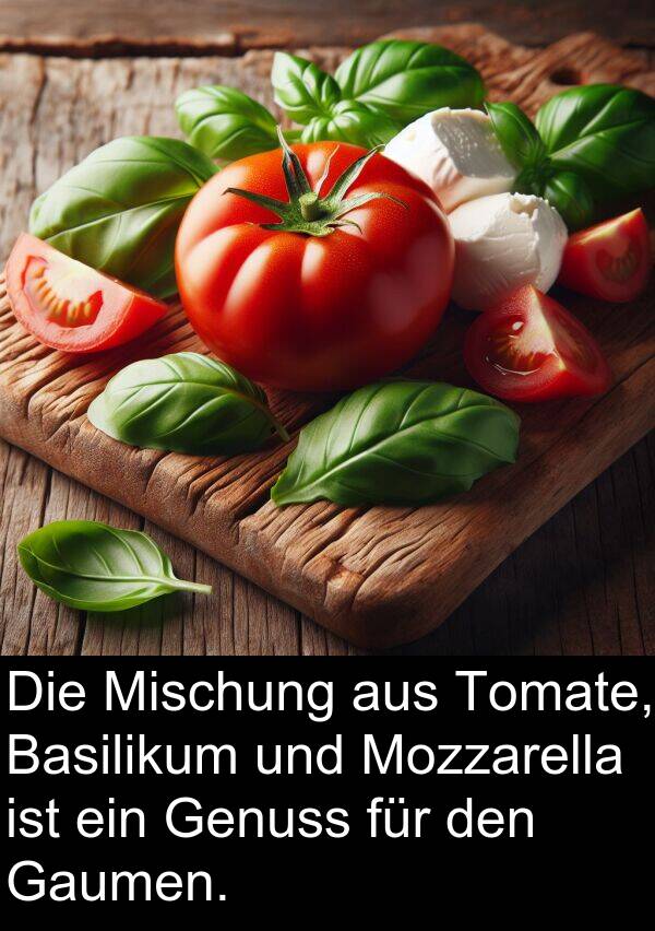 Mozzarella: Die Mischung aus Tomate, Basilikum und Mozzarella ist ein Genuss für den Gaumen.