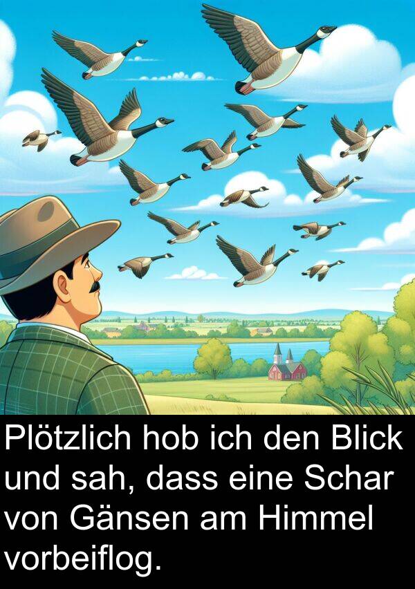 sah: Plötzlich hob ich den Blick und sah, dass eine Schar von Gänsen am Himmel vorbeiflog.