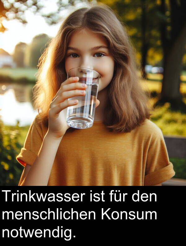 notwendig: Trinkwasser ist für den menschlichen Konsum notwendig.