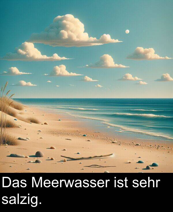 Das: Das Meerwasser ist sehr salzig.