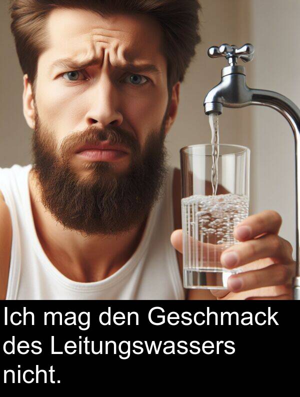 den: Ich mag den Geschmack des Leitungswassers nicht.