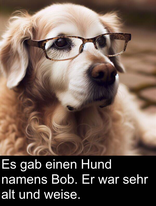 Hund: Es gab einen Hund namens Bob. Er war sehr alt und weise.