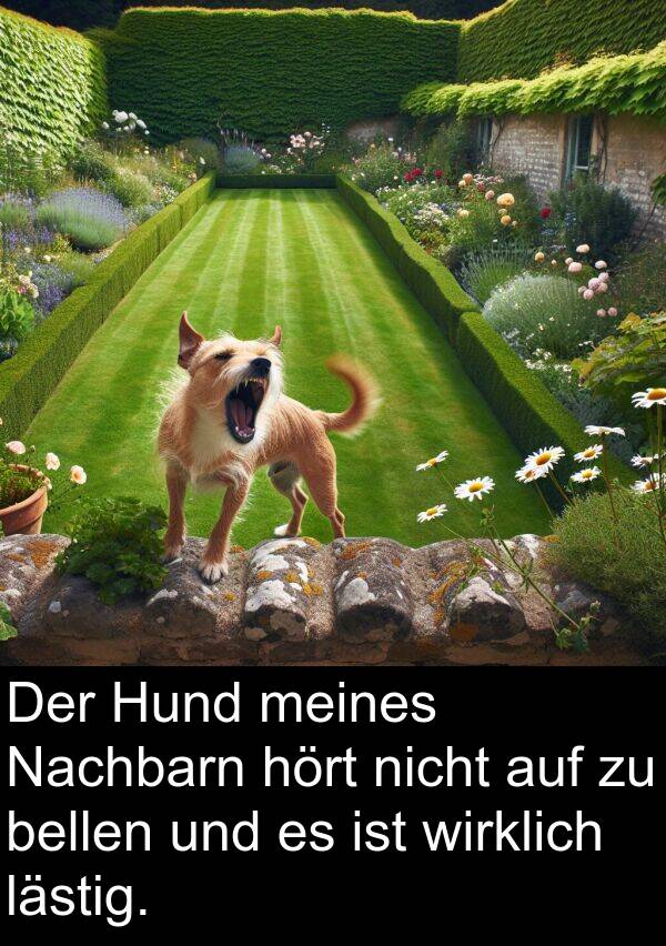 wirklich: Der Hund meines Nachbarn hört nicht auf zu bellen und es ist wirklich lästig.