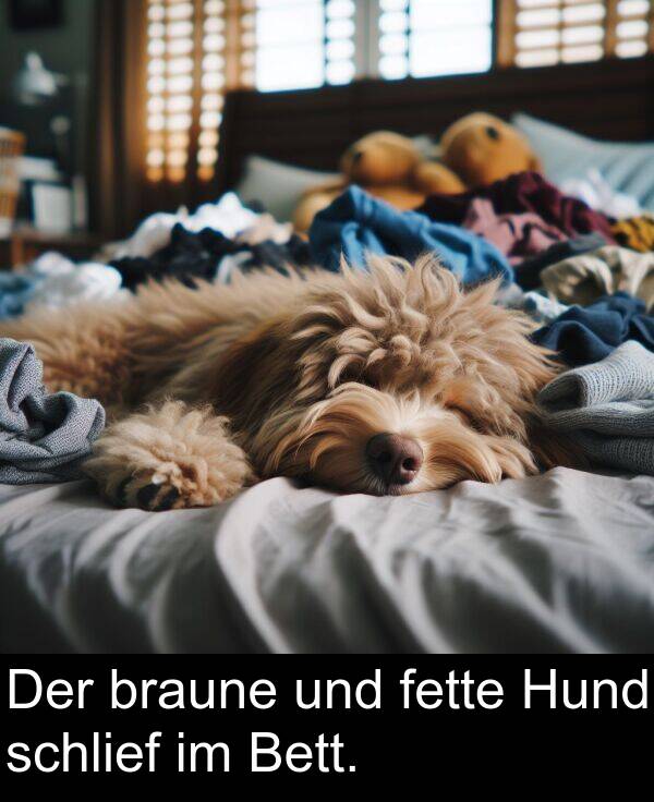 fette: Der braune und fette Hund schlief im Bett.