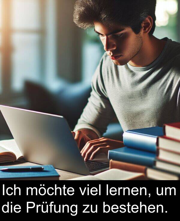 lernen: Ich möchte viel lernen, um die Prüfung zu bestehen.