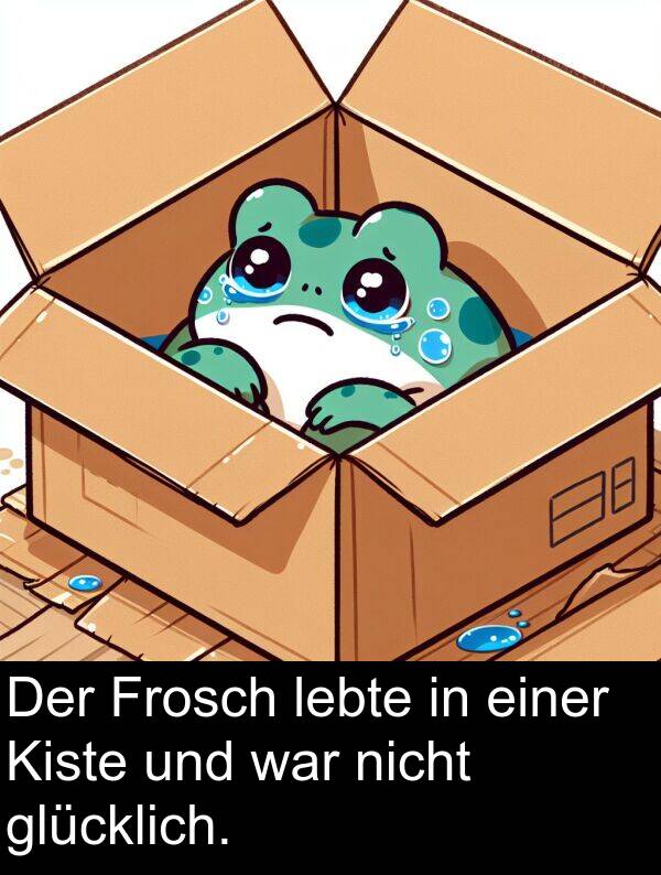 Frosch: Der Frosch lebte in einer Kiste und war nicht glücklich.